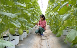 29 vườn, trang trại tham gia chung kết cuộc thi “Vườn đẹp, trang trại kiểu mẫu tỉnh Thanh Hóa năm 2023”