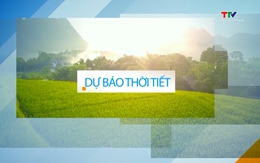 Video: Dự báo thời tiết khu vực tỉnh Thanh Hóa đêm 30/11, ngày 01/12/2023