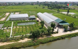 Thanh Hóa có 170 ha sản xuất nông nghiệp trong nhà lưới