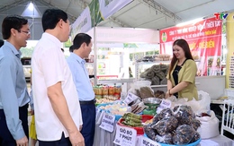 Hội nghị kết nối cung cầu và giới thiệu nông sản thực phẩm an toàn tỉnh Thanh Hóa sẵn sàng khai mạc