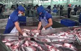 Việt Nam tiếp tục là nguồn cung cá tra lớn nhất cho Brazil