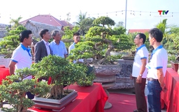 Huyện Hậu Lộc: 3 nhà vườn đạt danh hiệu Nhà vườn tiêu biểu cấp tỉnh