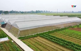 Năm 2023, xuất khẩu rau quả của Việt Nam dự kiến đạt 5,6 tỷ USD