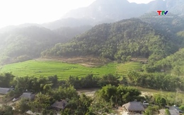 Thanh Hóa quy định định mức đất sản xuất của hộ gia đình vùng dân tộc thiểu số, miền núi