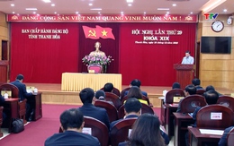 Hội nghị lần thứ 29, Ban Chấp hành Đảng bộ tỉnh khóa XIX