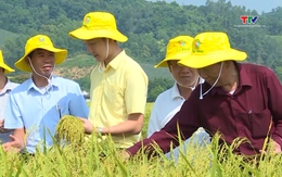 Năm 2023, tốc độ tăng trưởng ngành nông nghiệp Thanh Hoá đạt 4,16%