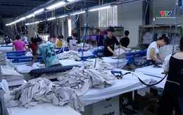 Doanh nghiệp dệt may Thanh Hoá tạo việc làm cho 150.000 lao động