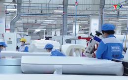 Việt Nam trở thành công xưởng sản xuất mới của thế giới