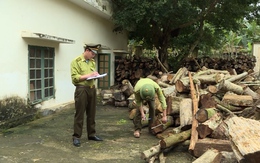 Sẽ xử lý nghiêm các đối tượng khai thác rừng trái phép tại Lang Chánh