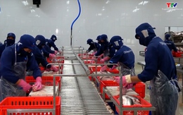 Hơn 800 doanh nghiệp Việt Nam đủ điều kiện xuất khẩu thủy sản vào Trung Quốc
