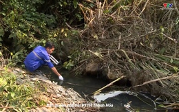 Kết quả kiểm tra xác minh tình trạng ô nhiễm nguồn nước tại xã Thanh Xuân, huyện Như Xuân