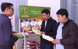 Xây dựng thương hiệu lúa gạo Thanh Hóa