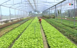 Hội trang trại và làm vườn Thanh Hóa - Cầu nối chuyển giao khoa học kỹ thuật cho nông dân
