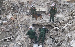 Đoàn cứu hộ động đất ở Thổ Nhĩ Kỳ của Quân đội Nhân dân Việt Nam lên đường về nước