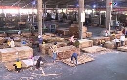 Tỉnh Thanh Hoá có 189 doanh nghiệp tham gia xuất khẩu hàng hoá