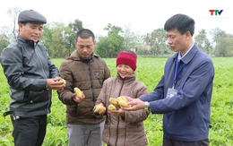 Đảng bộ xã Hoằng Đông đẩy mạnh tái cơ cấu sản xuất nông nghiệp