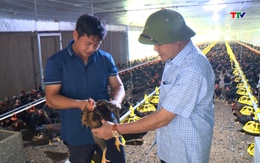 Ứng dụng khoa học công nghệ trong chăn nuôi: Tạo hướng phát triển bền vững