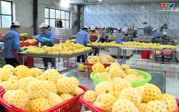 Trung Quốc là điểm sáng cho xuất khẩu nông thủy sản