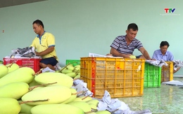 Trái cây Việt Nam có nhiều cơ hội xuất khẩu sang thị trường Trung Quốc