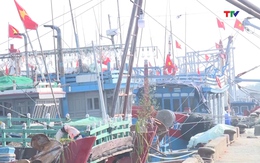 Các địa phương ven biển còn 676 tàu cá quá hạn đăng kiểm