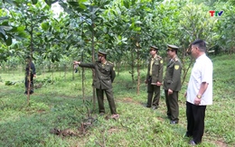 Hạt Kiểm lâm huyện Bá Thước thực hiện công tác bảo vệ và phát triển rừng
