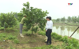 Thanh Hoá triển khai hiệu quả nguồn vốn tín dụng góp phần xây dựng nông thôn mới