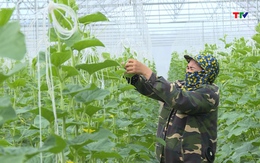 Ứng dụng khoa học và công nghệ trong phát triển nông nghiệp ở huyện Nga Sơn