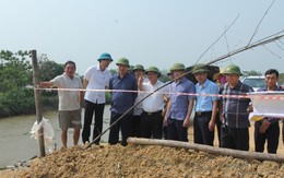Khẩn trương khắc phục sự cố sạt lở đê sông Càn huyện Nga Sơn