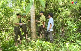 Thanh Hóa bảo tồn đa dạng sinh học rừng đặc dụng