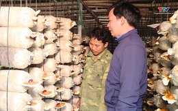 Yên Định: Tổng doanh thu các Hợp tác xã nông nghiệp đạt 30 tỷ đồng