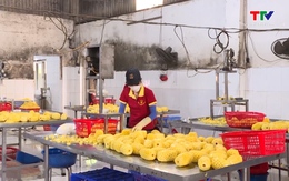 Thanh Hoá: Xuất khẩu hàng hoá tháng 4/2023 có xu hướng phục hồi