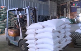 Giá gạo xuất khẩu của Việt Nam đạt mức cao nhất