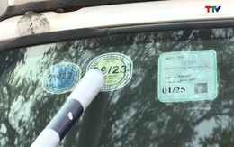 Tăng cường kiểm tra, xử lý nghiêm các trường hợp ô tô sử dụng tem kiểm định giả