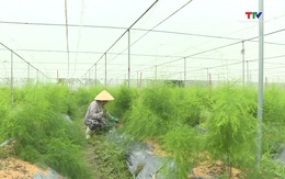 Huyện Triệu Sơn phấn đấu có thêm 10 sản phẩm OCOP cấp tỉnh