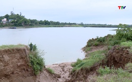 Làm rõ tình trạng sạt lở bãi sông Mã tại xã Vĩnh Hòa, huyện Vĩnh Lộc