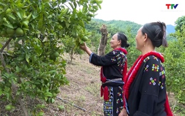 Chuyện làm kinh tế của phụ nữ làng Dao 