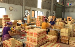 Doanh nghiệp chế biến lâm sản tại huyện Quan Hóa gặp khó khăn về thị trường xuất khẩu