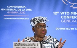 WTO kêu gọi đa dạng hóa chuỗi cung ứng để góp phần phục hồi và tăng trưởng toàn cầu