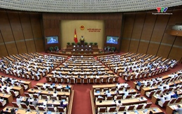 Đại biểu Quốc hội Thanh Hoá tham gia thảo luận tại Hội trường
