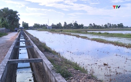 Đảm bảo nguồn nước tưới cho cây trồng vùng hồ đập nhỏ và vừa