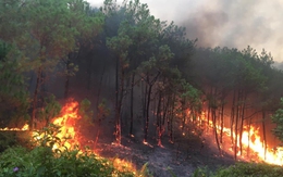 Dự báo cháy rừng từ ngày 31/5-03/6/2023 trên địa bàn tỉnh Thanh Hóa