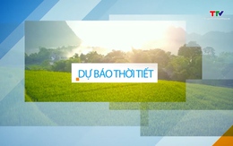 Video: Dự báo thời tiết khu vực tỉnh Thanh Hóa đêm 09/5, ngày 10/5/2023