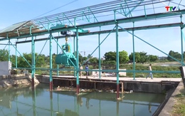 Huyện Nga Sơn chủ động các giải pháp cấp nước trước dự báo hạn hán, nhiễm mặn
