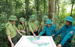 Dự báo và thông tin cấp dự báo cháy rừng từ ngày 13/7 – 16/7/2023 trên địa bàn tỉnh Thanh Hóa