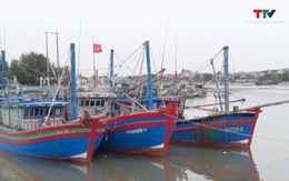 Thị xã Nghi Sơn chủ động ứng phó với bão số 1