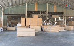 Xuất khẩu gỗ và sản phẩm gỗ gặp khó