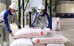 Giá gạo Việt Nam xuất khẩu tăng cao