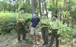 Thanh Hóa tăng cường bảo vệ rừng mùa nắng nóng 