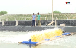 Thanh Hoá có trên 600 hộ tham gia chuỗi liên kết 
trong nuôi trồng thủy sản

