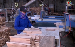 Doanh nghiệp gỗ tìm thị trường xuất khẩu
